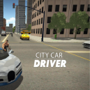 City Car Driver